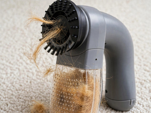CleanPet
