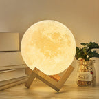 DreamMoon