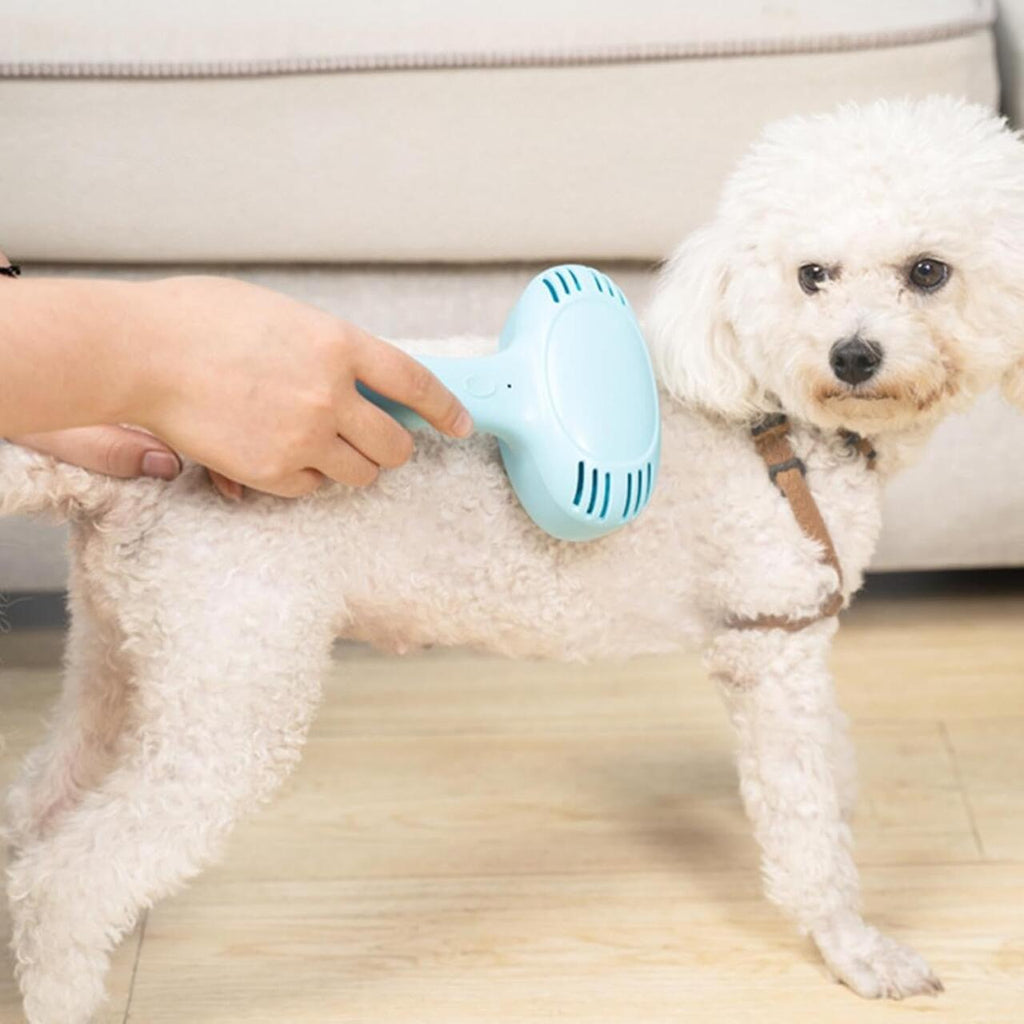 PetBrush